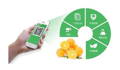 农产品，从田间到指尖 一个网站即一个生态